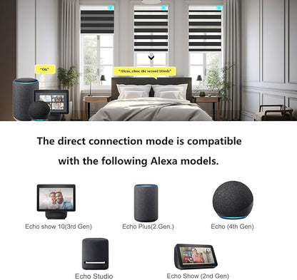 Changshade Smart Motorized Zebra Blinds Remote Control for Indoor Door Windows Blackout, Room Darkening Custom Size Shades Electric Power Automatic Work with Alexa, Google Home, Apple Homekit, Black