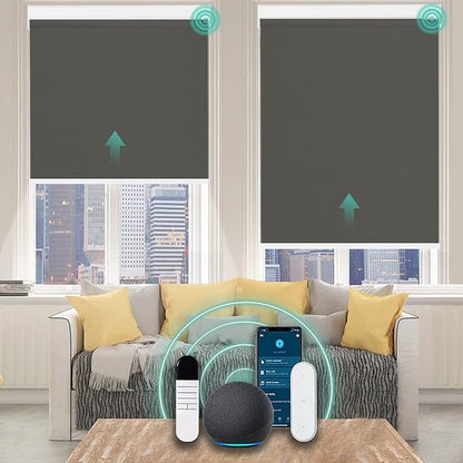 Allesin Motorized Roller Shade Compatible with Alexa for Window, 75% Blackout Smart Shades Cordless with Remote Control, Electric Automated Blinds for Window, Customized Size, Dry Battery(Dark Grey)