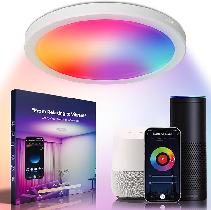 12 Inch Smart Ceiling Light, 2400LM RGBCW LED Flush Mount Ceiling Light Work with App & Voice Control, 2700K-6500K Dimmable LED Ceiling Light Fixture for Living Room Bedroom Gaming Room