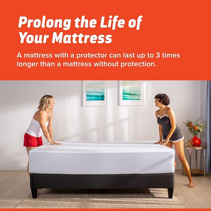 Layla Mattress Protectors (Twin, Essential Protector)