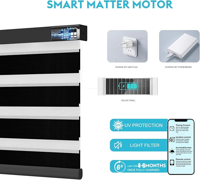 Motorized Zebra Blinds with Remote Smart Blind Work with Homekit Alexa SmartThings Electric Day and Night Shade Cordless Automatic Solar Powered Window Shade Customize(Pure Black)