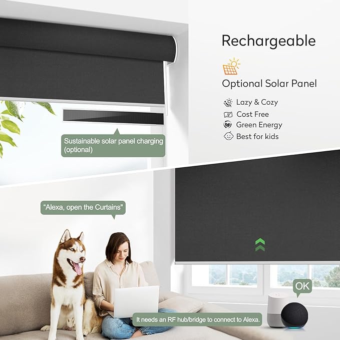ZSHINE Motorized Blackout Window Blinds Over-Size Customize Width (21-114 Inches) Remote Control Wireless and Rechargeable Motor Roller Shades Blinds for Windows(Black)