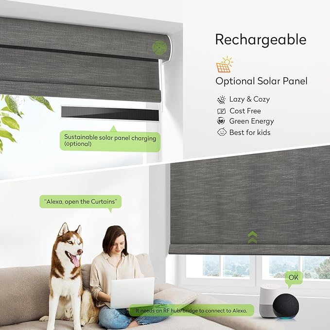 ZSHINE Motorized Window Blinds Over-Size Customize Width (21-114 Inches) Remote Control Wireless and Rechargeable Motor Roller Shades Blinds for Windows(Light Filtering Horizontal Strip)