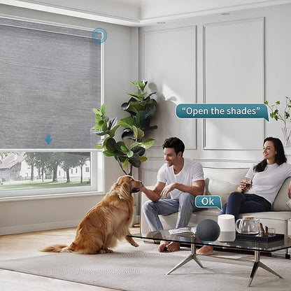 Motorized Shades Light Filtering Blinds,50% Blackout Smart Shade Work with Remote Alexa,Google Home,Custom Size,Sunscreen PVC Free Silver