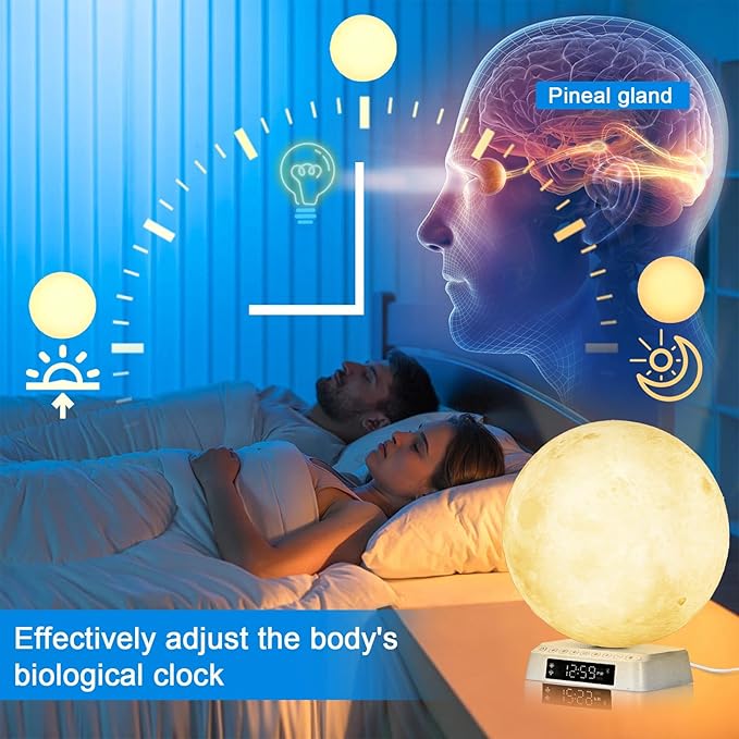 Sunrise Alarm Clock Wake Up Light - 3 Color LED Lamp with Sound & Light Awakening, Bioclock Adjustment & APP Control, Moon-Shaped Linen Lamp Shade for Bedroom Bedside