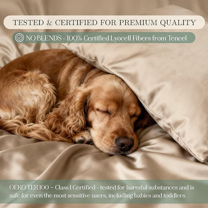Eucalyptus Sheets - Infused with Silver for Anti-Odor, Softer Than Silk Fibers, More Cooling Than Cotton - Perfect for Hot Sleepers & Sensitive Skin - 100% Tencel Lyocell - Cali-King Sheet Set