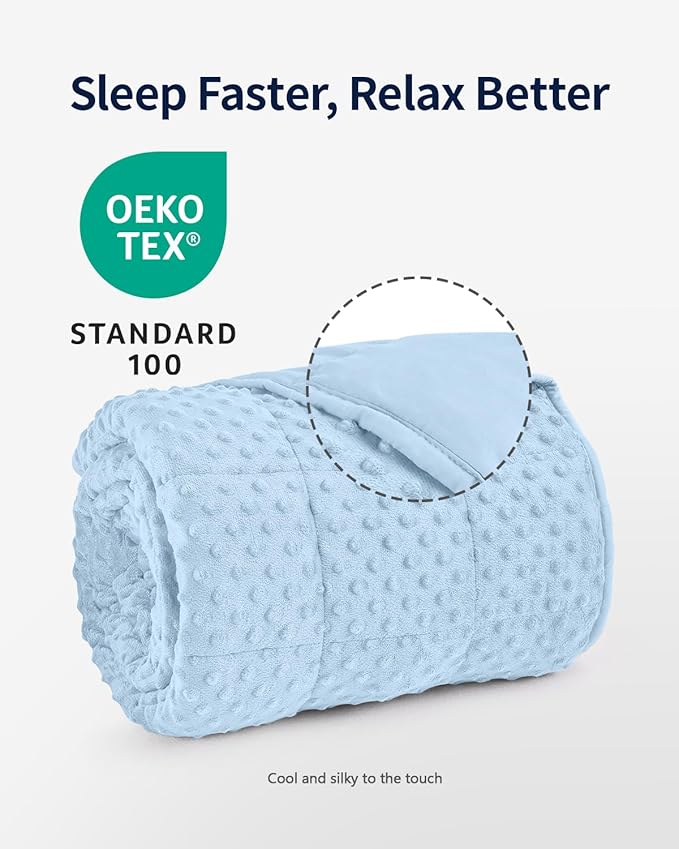 Mr. Sandman Weighted Blanket for Adults Queen Size 15 lbs, Soft Cooling Heavy Minky Blanket for Sleep, Washable Throw Blanket with Glass Beads, 60 x 80 Inches, Light Blue