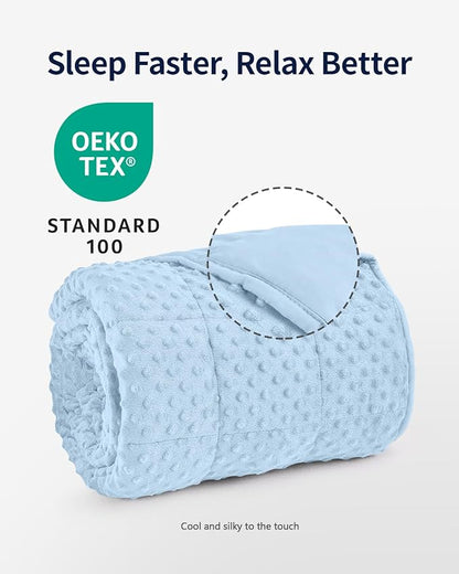 Mr. Sandman Weighted Blanket for Adults Queen Size 20 lbs, Soft Cooling Heavy Minky Blanket for Sleep, Washable Throw Blanket with Glass Beads, 60 x 80 Inches, Light Blue