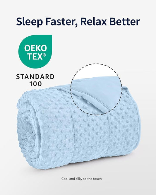 Mr. Sandman Weighted Blanket for Adults Queen Size 20 lbs, Soft Cooling Heavy Minky Blanket for Sleep, Washable Throw Blanket with Glass Beads, 60 x 80 Inches, Light Blue