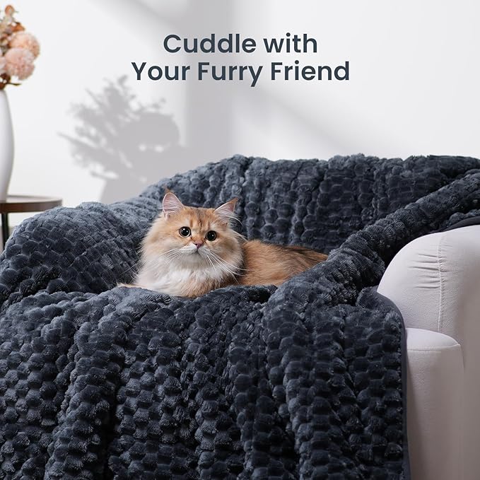 Drewin Weighted Blanket Queen Size 20lbs, Soft Cozy Jacquard Sherpa Weighted Blanket for Adults, 60 x 80 inches Bed Blanket for Sleeping, Cozy Fluffy Knitted Heavy Blanket, Grey Blue