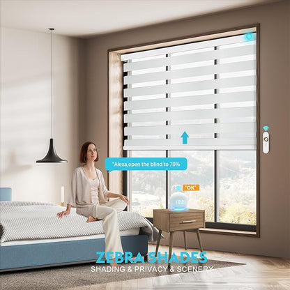 Motorized Zebra Blinds with Remote Smart Blind Work with Homekit Alexa SmartThings Electric Day and Night Shade Cordless Automatic Solar Powered Window Shade Customize(Classic White)