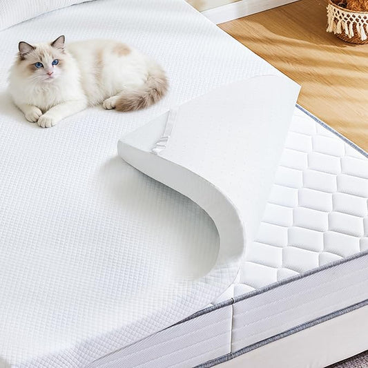 NEWBULIG 2 Inch Memory Foam Mattress Topper Full, Memory Foam Pad with Removable & Washable Cover, Bed Topper for Back Pain, Non-Slip Ventilated Design