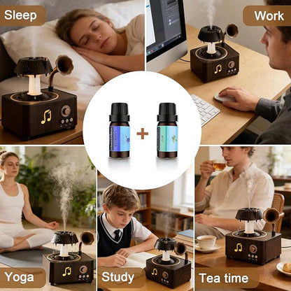 Morbou Raindrop Aroma Diffuser Room Humidifier with White Noise, 7-Color Air Mist Essential Oil Diffuser Sleep Sounds Aroma Rain Drop, with Remote Control Extra 2 Essential Oils