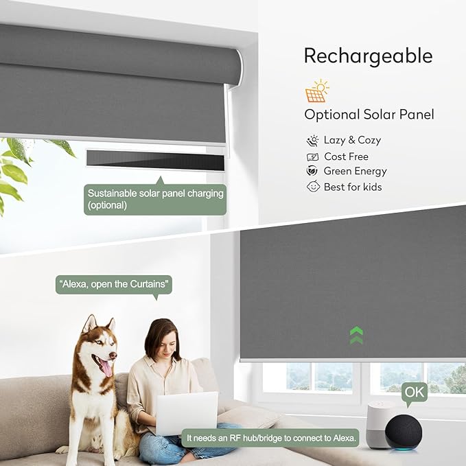 ZSHINE Motorized Blackout Window Blinds Over-Size Customize Width (21-114 Inches) Remote Control Wireless and Rechargeable Motor Roller Shades Blinds for Windows(Dark Grey)