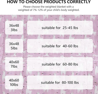 L'AGRATY Weighted Blanket - 36"x48" 5lbs Microfiber Material with Glass Beads Small Blanket for All-Season Summer Fall Winter Soft Thick