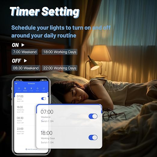 BSEED Smart Light Switch, 2 Gang WiFi Alexa Light Switch with Remote APP Control and Timing Function, Single Pole Black Light Switches Work with Alexa, Google Assistant, Voice Control, Group Control