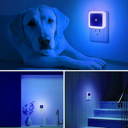 6 Pack Blue LED Night Light Plug in, Dusk to Dawn Sensor Automatic On and Off, Energy Efficient, Soft Glow Kids, Nursery, Bedroom, Bathroom, Hallway, Stairs, Kitchen