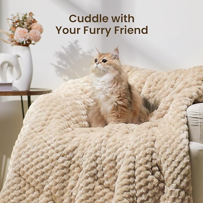 Drewin Weighted Blanket for Adults Queen Size 15lbs, Soft Fuzzy Turtleback Sherpa Weighted Blankets for Sleeping, Cozy Fluffy Heavy Blanket for Couch Bed, 60 x 80 inches, Beige