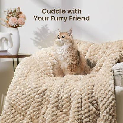 Drewin 20lbs Weighted Blanket Queen Size, Double-Sided Cozy Fluffy Jacquard Sherpa Weighted Blanket, Soft Adult Weighted Blankets for Couch Bed, Ceramic Beads, 60 x 80 inches, Beige