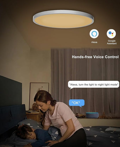 Ceiling Light LED Dimmable Flush Mount RGB Panel Smart Alexa Google Home WiFi with Remote Control for Living Room Bedroom Dinning Kitchen Hallway Bathroom Round 12Inch 24W White