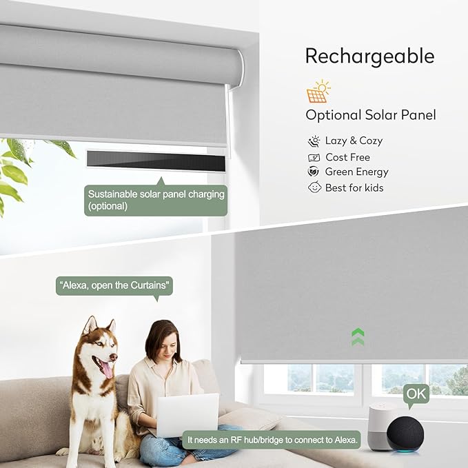 ZSHINE Motorized Blackout Window Blinds Over-Size Customize Width (21-114 Inches) Remote Control Wireless and Rechargeable Motor Roller Shades Blinds for Windows(Grey)