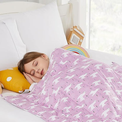 HOSUKKO Weighted Blanket - 3 lbs Purple Alpaca Heavy Blanket - Breathable Blanket(36 * 48 inches, 3 lbs)