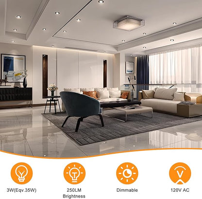 YGS-Tech 2 Inch LED Recessed Lighting, Dimmable Downlight 3W(35W Halogen Equivalent), CRI80, 4000K Natural White Ceiling Light with LED Driver(10 Pack)