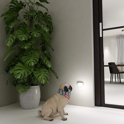 Lyridz Plug in Night Light with Motion Sensor, 120LM Superior Bright Smart Mini LED Nightlight, Cool White with Stepless Adjustable Brightness for Bathroom, Bedroom, Kitchen, Stairs, Hallway, 2 Pack