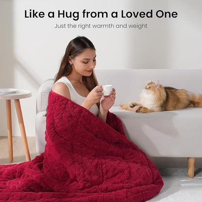 Drewin Weighted Blanket Queen Size 20 lbs, Cozy Sherpa Weighted Blankets with Jacquard Pattern, Super Fluffy Thick Bed Blanket with Ceramic Beads for Sleep Natural and Calming, 60 x 80 inches, Red