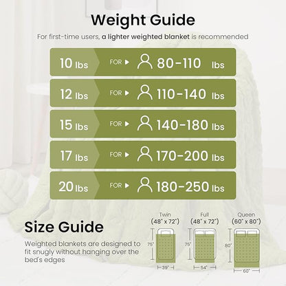 Drewin Weighted Blanket Queen Size 15 lbs, Dual Sided Soft Fuzzy Jacquard Sherpa Bed Blankets with Ceramic Beads, Ultra Fuzzy and Thick Winter Weighted Blanket, 60 x 80 inches, Grass Green