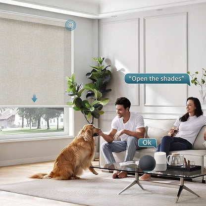 Motorized Light Filtering Roll Shades Work with HomeKit, 70% Blackout Smart Blinds for Windows, Electric Blinds with Remote, APP/Voice Control, Automatic Solar Shades, Texture Cream