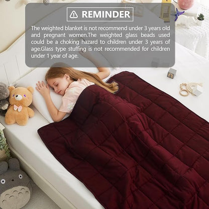L'AGRATY Weighted Blanket - 36"x48" 3lbs Cooling Breathable Heavy Blankets Microfiber Material with Glass Beads for Adult All-Season Summer Fall Winter Soft Thick Comfort