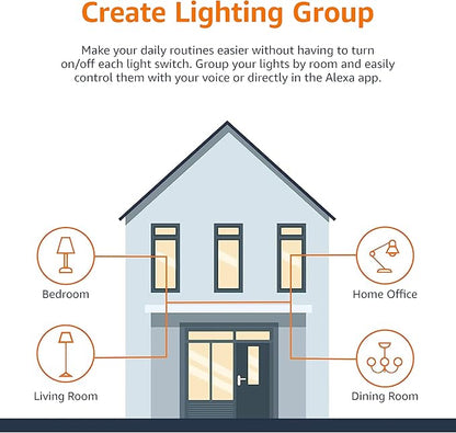 Amazon Basics Smart A19 LED Light Bulb, Dimmable Soft White (2700K), 9W (60W Equivalent), 800LM, Works with Alexa Only, Energy Efficient, 2.4 GHz Wi-Fi, No Hub Required, 1-Pack