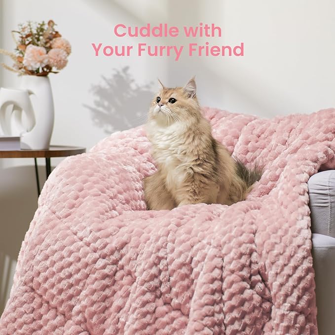 Drewin Weighted Blanket for Adults Queen Size 15lbs, Soft Cozy Turtleback Sherpa Weighted Blankets for Sleeping and Calming, Thick Bed Blanket for Couch Bed, 48 x 72 inches, Pink