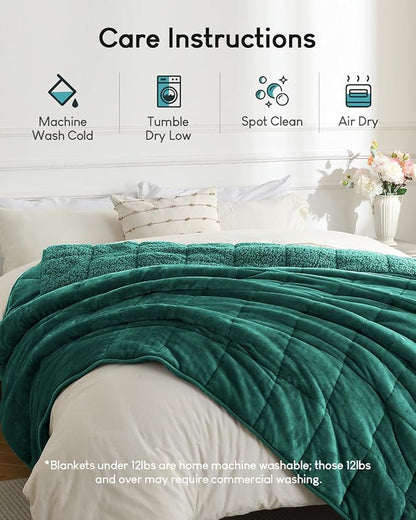 Cottonblue Weighted Blanket 15lbs for Queen Ded - Ultra Soft, Cozy Comfort Sherpa Blanket for Relax and Sleep, Heavy Bed Blankets with Cemaric Beads, 60x80 Inches,Green