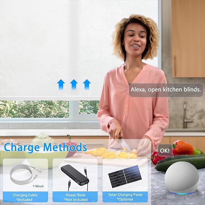 Motorized Blinds with Remote Cordless Automatic Motorized Shades Custom Blinds for Windows Smart Curtains Compatible with Alexa Google Home(Light Filtering Jacquard White,W55 x H72in)
