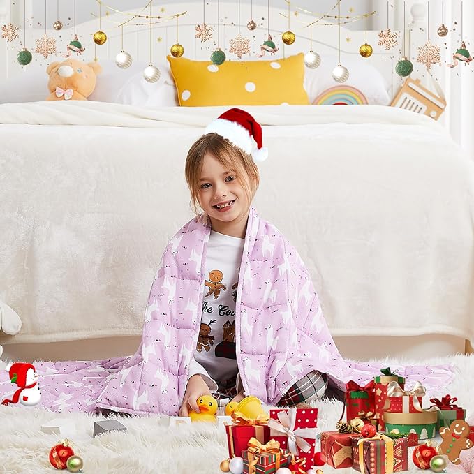 HOSUKKO Weighted Blanket - 10 lbs Purple Alpaca Heavy Blanket - Breathable Blanket(41 * 60 inches, 10 lbs)