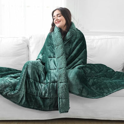 Aemicion Queen Size 20lbs Weighted Blanket for Adults, Fluffy Warm Sherpa & Cozy Soft Flannel Snuggle Thick Heavy Blanket Great for Sofa Bed, 60x80in Green