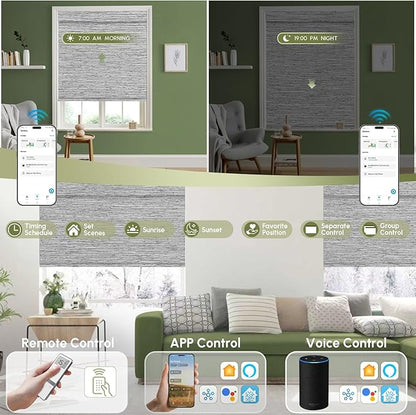 FineTell Motorized Blinds with Remote, 100% Blackout Roller Shades Compatible with Alexa,Apple Homekit,Google Home APP and Voice Control, Customized Electric Blinds (100% Blackout Dreamy Grey)