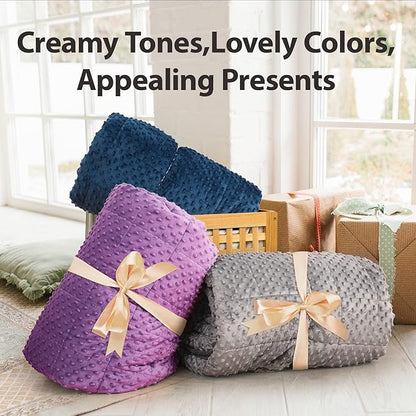 Minky Dot Weighted Blanket for Adults Twin Size 15 lbs, Soft Cozy Heavy Blanket for Stress Relief and Sleep Promotion, Warm Blanket for Autumn Winter with Glass Beads, Grey 48 x 72 inches