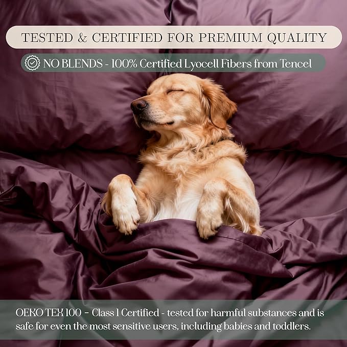 Eucalyptus Sheets - Infused with Silver for Anti-Odor, Softer Than Silk Fibers, More Cooling Than Cotton - Perfect for Hot Sleepers & Sensitive Skin - 100% Tencel Lyocell - Cali-King Sheet Set