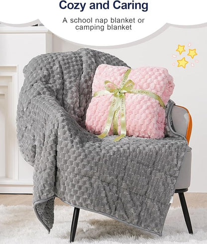 Super Soft Luxury Fleece Sherpa Weighted Blanket for Teens, 3lbs Small Weighted Lap Blanket for Adults, Turtle Shell Cozy Warm Throw for Winter, Compact Heavy Blanket for Sleep & Travel, Grey, 36"x48"