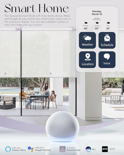 Graywind Motorized Solar Shades Compatible with Alexa Google Hardwired WiFi Smart Light Filtering Blind Remote Control Automated Blinds Electric Window Shade, Custom Size (5% Openness Black)