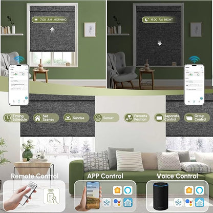 FineTell Motorized Blinds with Remote, 100% Blackout Roller Shades Compatible with Alexa,Apple Homekit,Google Home APP and Voice Control, Customized Electric Blinds (100% Blackout Classic Dark Grey)