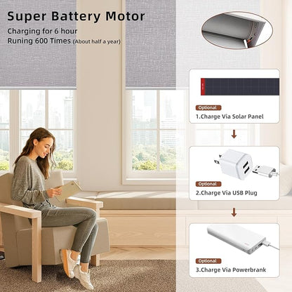 Motorized Blinds Roller Shade with Remote: Canisteo Automatic Smart Blind for Windows 100% Blackout, Electric Blinds Compatible with Alexa/Google Home/Apple Homekit, Customized Size, Cozy Rock Grey