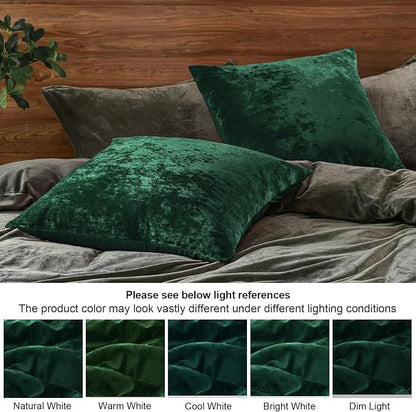 PHF Truly Velvet Euro Sham, 26"x 26",No Insert, 2 Pack Color Gradient Euro Throw Pillow Covers, Ultra Soft Cozy Pillow Covers for Home Decorative, No Shedding, No Pilling, Green