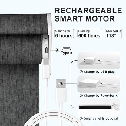 BERISSA Motorized Blinds with Remote,Light Filtering Smart Roller Shades with App,Voice Control,See-Through Fabric,Thermal Insulated Automatic Blinds,Electric Shades with USB/Solar Pannel.Solar Black