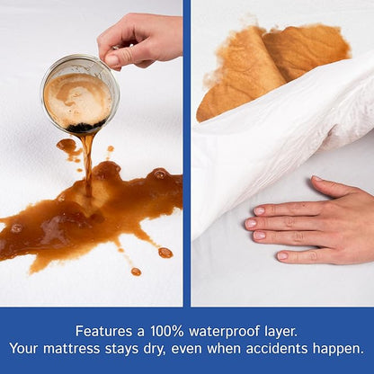 California King Size Mattress Protector Bed Bug Waterproof Zippered Cover - Hypoallergenic Premium Quality Encasement Protects Against Liquids, Dust - Breathable, Noiseless Fabric