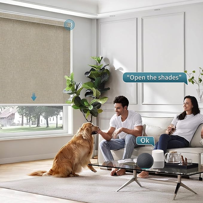 Motorized Light Filtering Roll Shades Work with HomeKit, 70% Blackout Smart Blinds for Windows, Electric Blinds with Remote, APP/Voice Control, Automatic Solar Shades, Texture Biscuit