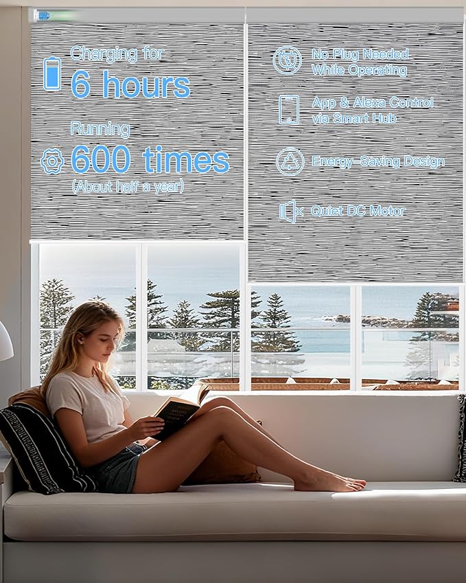 Motorized Light Filtering Roller Shades with Remote Control, Smart Blinds for Windows Work with Alexa Google via Hub, Rechargeable Electric Window Shade Customized Size (Texture Black Grey)